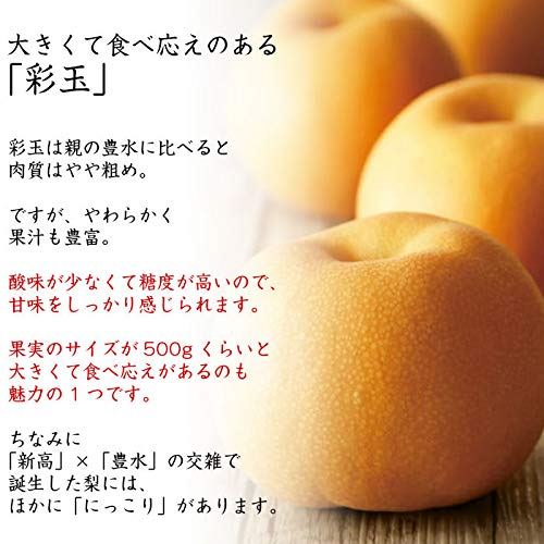 【埼玉限定】すっきり 甘〜い！ 埼玉産 梨(彩玉) 贈答用 大玉 10玉 5kg すっきり 甘〜い！ 埼玉産 梨(彩玉) 贈答用 大玉 10玉 5kgの通販