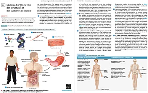 Anatomie et physiologie humaines – vue 6