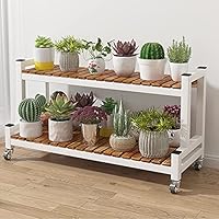 Étagère Plantes 6 Niveaux En Bois Massif Support Plantes Support Pot De Fleur Etagère Pot De Fleur - Ciel & Terre Commerce