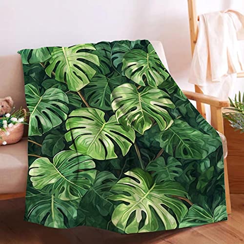 Tropical Plant Palm Leaves Blanket Soft Cozy Throw Lightweight Microplush Blankets for Couch Bed...
