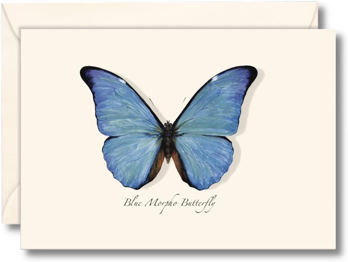 Blue Morpho Butterfly Notecard Set - 8 Blank Cards with Envelopes