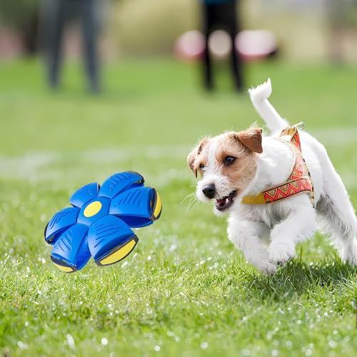 Kiuiom Fliegend Untertasse Ball Hund,Magische Fliegende Untertasse Kugel,Frisbee Hundespielzeug Ball,Frisbee Hundespielzeug,Flying Saucer für Hundetraining, Drinnen und Draußen