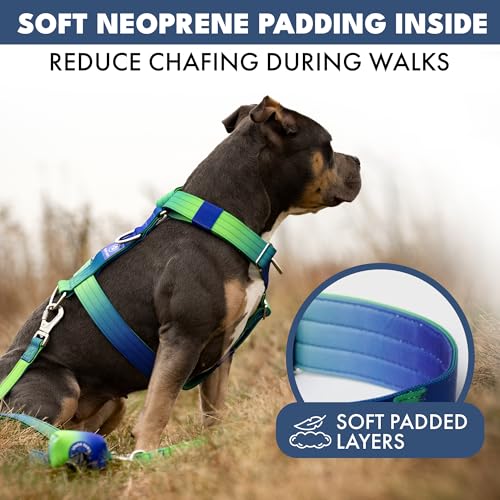 Image of Spark Paws No Pull Dog Harness with Handle for Large Dogs, Heavy Duty Dog Harness for Big Strong Breeds, Adjustable, Y Shaped Padded Halter Design with Front Clip - Lime Wave - S