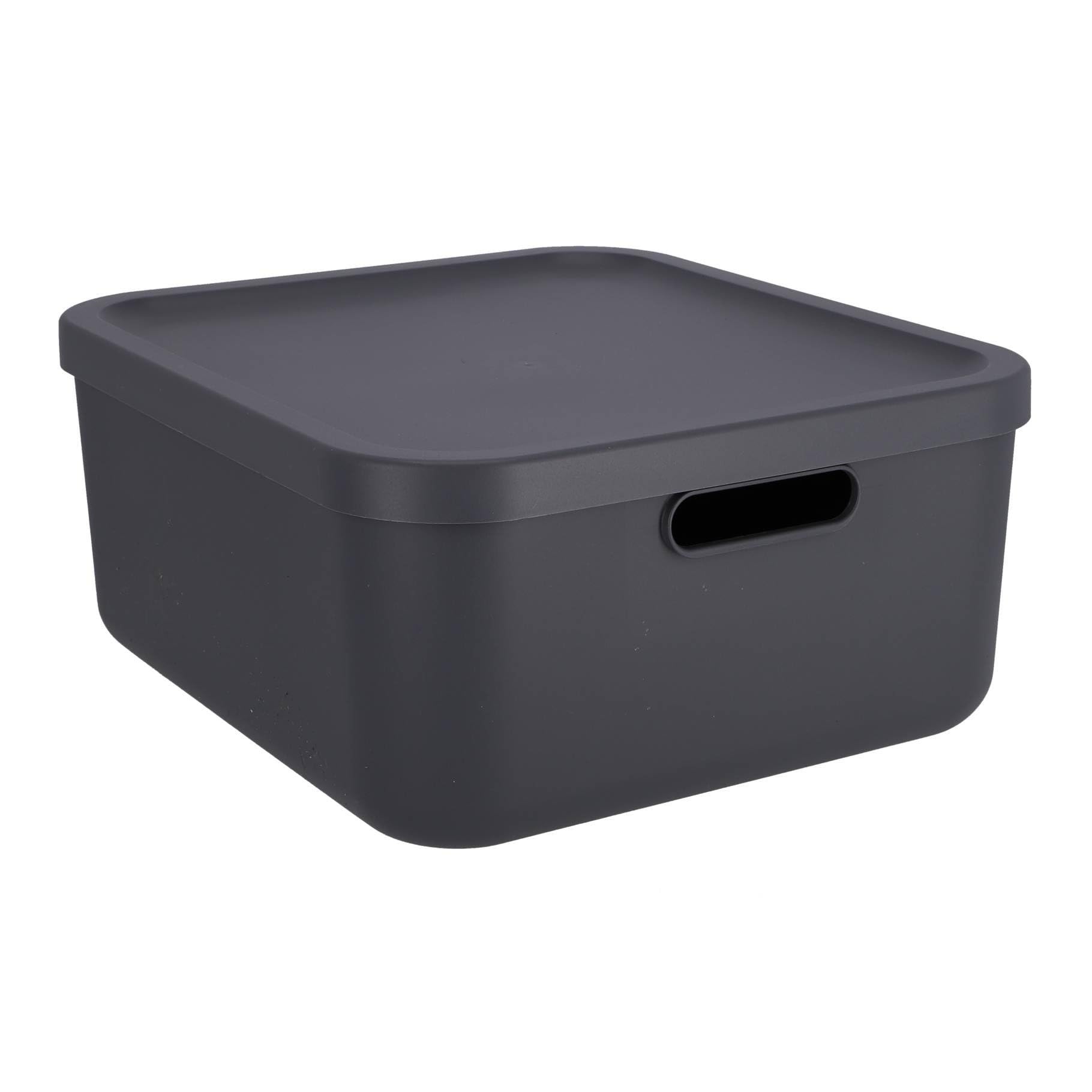 Rotho Albula 20 Litre Storage Box with Lid - Grey
