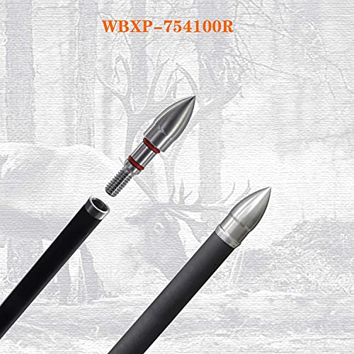 Wisdom 100 Grains Arrow Field Points 19/64 Inch 7.54Mm Stainless Steel Bullet Point Archery Tip For Bow Hunting Target Practice Inserts 1 Dozen 12 Pcs #TOP5