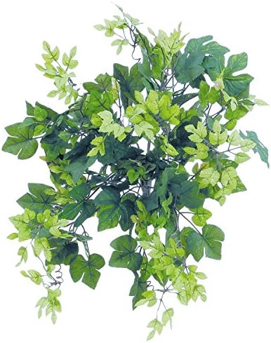 Amazon フェイクグリーン グレープアイビー 47cm ブッシュ Sc Ct触媒加工済 Ka 454 人工観葉植物 オンライン通販