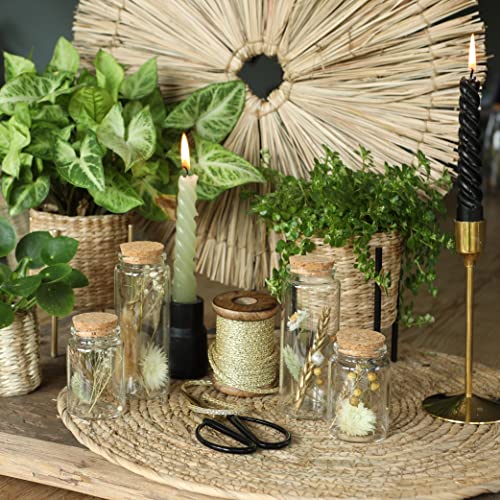 comforder Trockenblumen im Glas mit Korken 4er Set, getrocknete Blumen-Deko in eleganten, schmalen Gläsern (Natur)