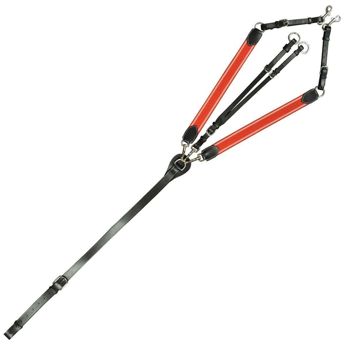 Canter Collar de Caza elástico y para Caballos