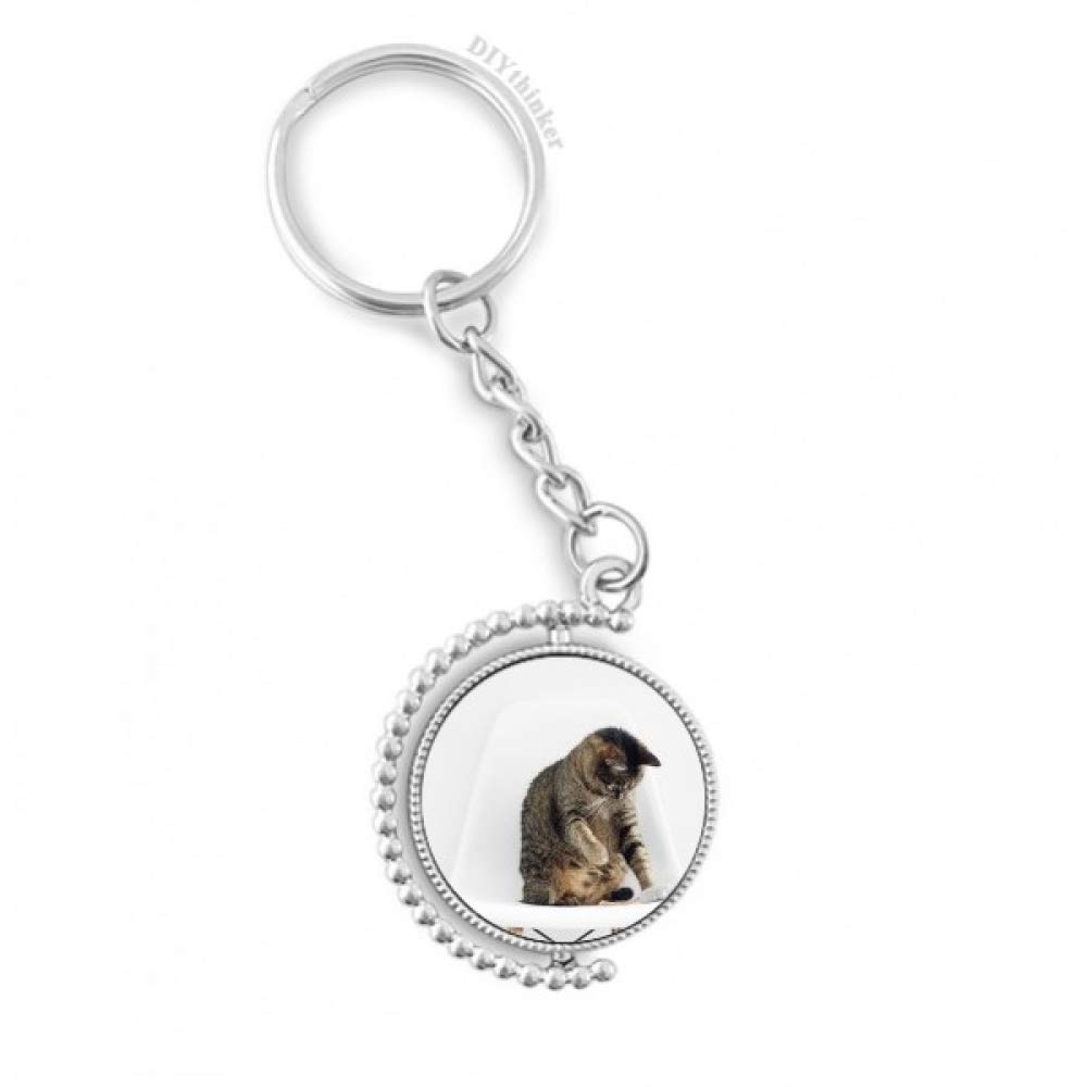Porte-clés rotatif animaux chat pour éviter les clés emmêlées, format compact multicolore