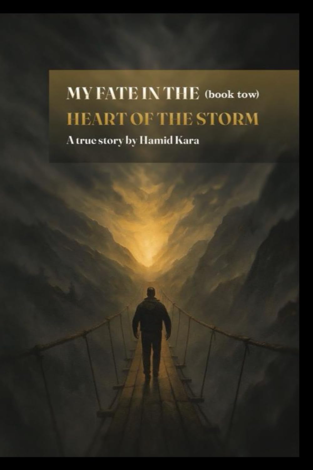 MY FATE IN THE HEARTS OF THE STORM BOOK TWO: The True Story of a Man Who Faced the Storms of Life and Found Light Again: 2 (My Fate in the Heart of the Storm Series)