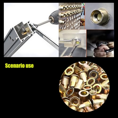 JXPXJMY Blindnietmuttern aus Kohlenstoffstahl, Verzinkte Hohlgewindenieten für Holz Möbel Dekorative Einsätze (100tück M3*9)