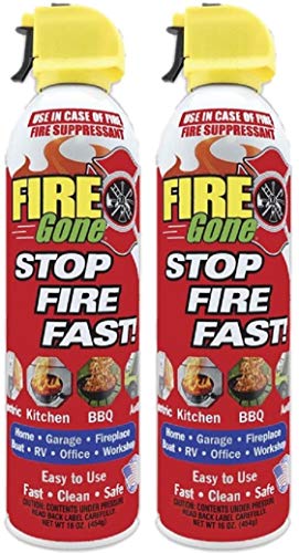FireGone Fire Stopping Foam Spray for Class A, B, and C Fires - 16oz. Canister (2 Cans)