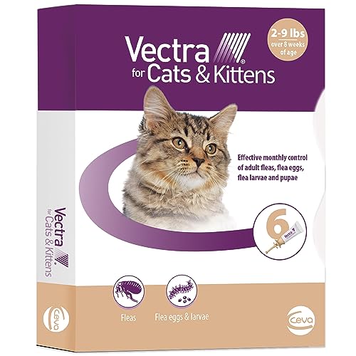 Tan Cat – The 15 best products compared - Wild Explained