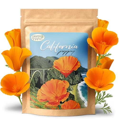 Created by Nature California Poppy Flower Seeds, 20,000 Native Wildflower Seeds, California State Flower
