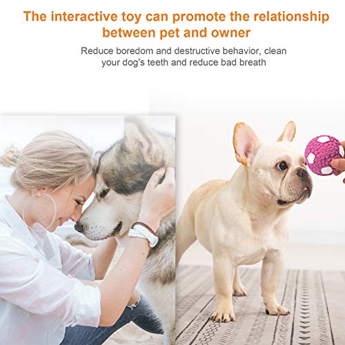 3pcs cão pet bola brinquedo,Funien 3 PCS Dog Pet Ball Toy Dog Latex Toy Ball Dentes de animal de est