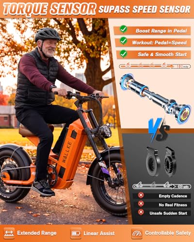 Electric Cargo Bike Long Range
