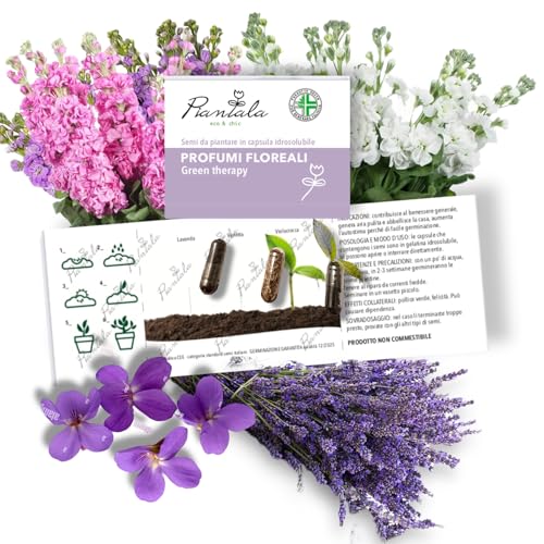 KIT SEMI PIANTABILI in BLISTER da 3 capsule (PROFUMI FLOREALI: lavanda violetta, violaciocca)