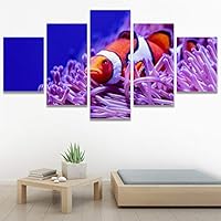 SIGNWIN 5 Panel Canvas Wall Art Group Jellyfish Marine Life Multicolor Photography Realism Tropical Ultra Whimsical for Home Decorations Ready to Hang - 60
