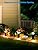 LEONLITE 5CCT Low Voltage Path Lighting, 4W LED Landscape Bollard Pathway Light, Landscape Lights Outdoor for Yard Walkway, 2700K/3000K/3500K/4000K/5000K, Die-Cast Aluminum, ETL, FCC Listed, Pack of 4