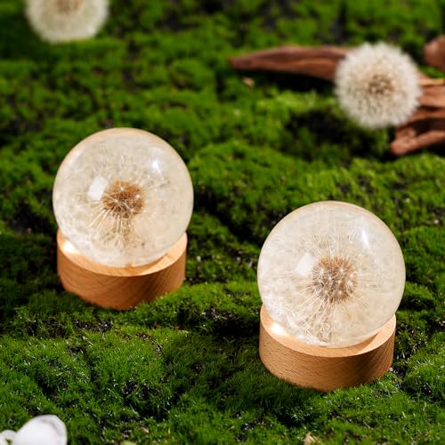 1st Heaven Dandelion Resin Paperweight – Real Dandelion Wish Ball, Unique Home & Office Decor, Symbol of Luck & Appreciation, A Thoughtful Gift & Keepsake for Birthdays, Weddings & Graduations by 1st Heaven - Image 4