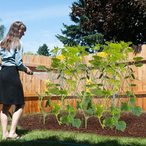 Cucumber-Trellis-2-Pack-Foldable-A-Frame-Garden-Trellis-for-Raised-Bed-Garden-Grow-Support-with-Plant-Support-Clips-Twist-Ties-Plastic-Ties-for-CucumberTomato-Climbing-Plants-and-Flowers Cucumber Trellis 2 Pack Foldable A Frame Garden Trellis for Raised Bed Garden Grow Support with Plant Support Clips Twist Ties Plastic Ties for CucumberTomato Climbing Plants and Flowers