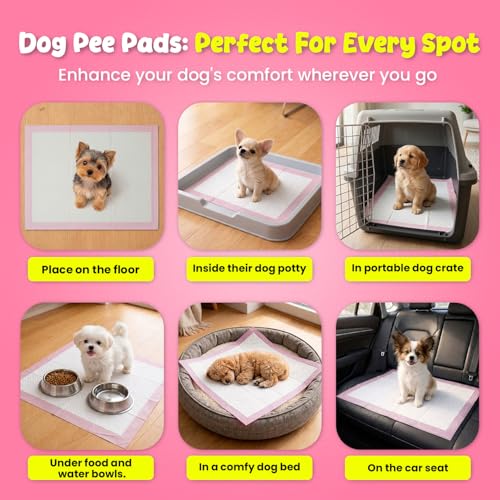 Image of FPN Puppy Pads for Dogs 100 Count Pink Small 13X18 Inch | Disposable Pee Pads for Puppies & Small Dogs | Pet Training Pads for Potty Training, Small Dog Pee Pads, Puppy Pads Bulk