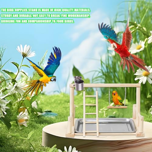 Image of Bird Playground, Natural Wood Bird Perch Stand with Removable Tray and 2 Stainless Steel Feeder Cups, Parrot Playstand Bird Cage Toys for Conure Parakeet Cockatiel Parrot (B)