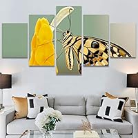 SIGNWIN 5 Panel Canvas Wall Art Birds Butterfly Closeup Colorful Contemporary Home Office Modern Art Multicolor Photography for Home Decorations Ready to Hang - 60