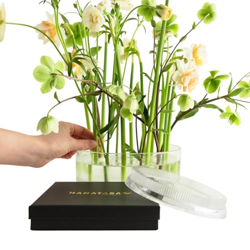 Flower Frog Ring 150mm/5.9 Clear Plastic Kenzan-Style Arrangement Holder for DIY Floral Design Ikebana Home Decor & Wedding Centerpieces (1 Piece)