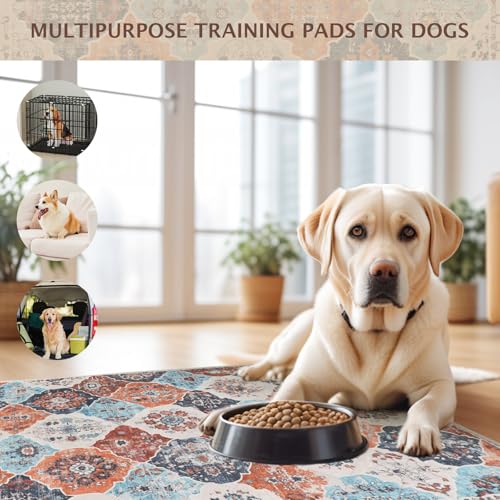 Image of IEUUMLER Washable Pee Pads for Dogs, 2 Pack Reusable Pee Pads for Dogs Non-Slip Grip, Super Absorbent Waterproof Puppy Pads for Potty Training, Playpen, Crate, Whelping Box EU011 (Orange,24 inch x 18 inch)