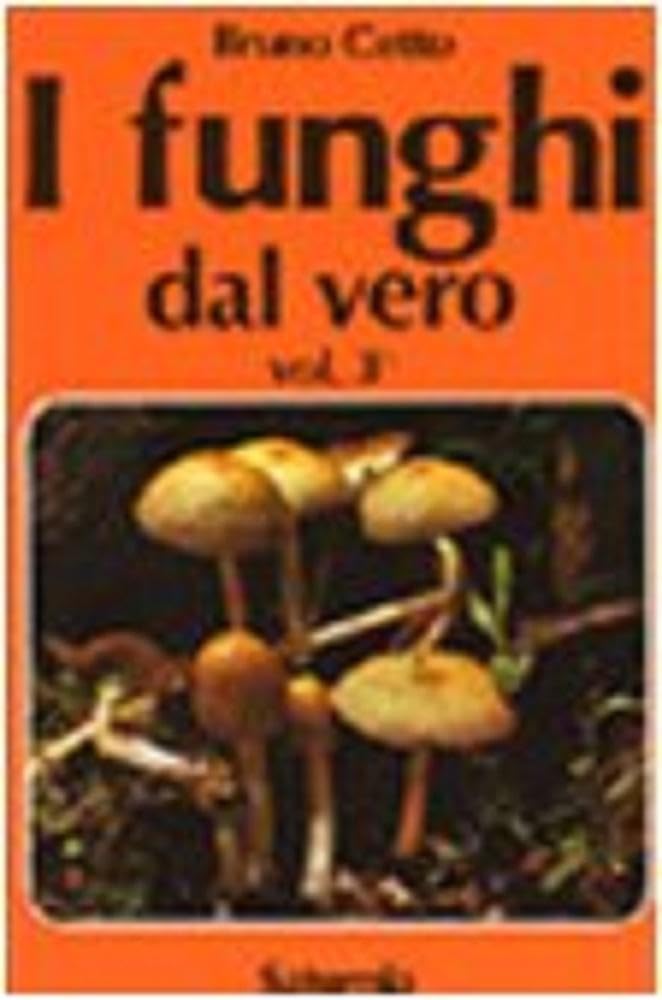I Funghi Dal Vero (Vol. 3) - 4