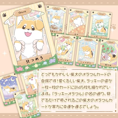 【正規品オラクルカード】生産150個限定のレア物！✨ハウスキャットVol.1 0.THE_FOOL.-597x1024.jpeg