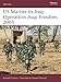US Marine in Iraq: Operation Iraqi Freedom, 2003 (Warrior)