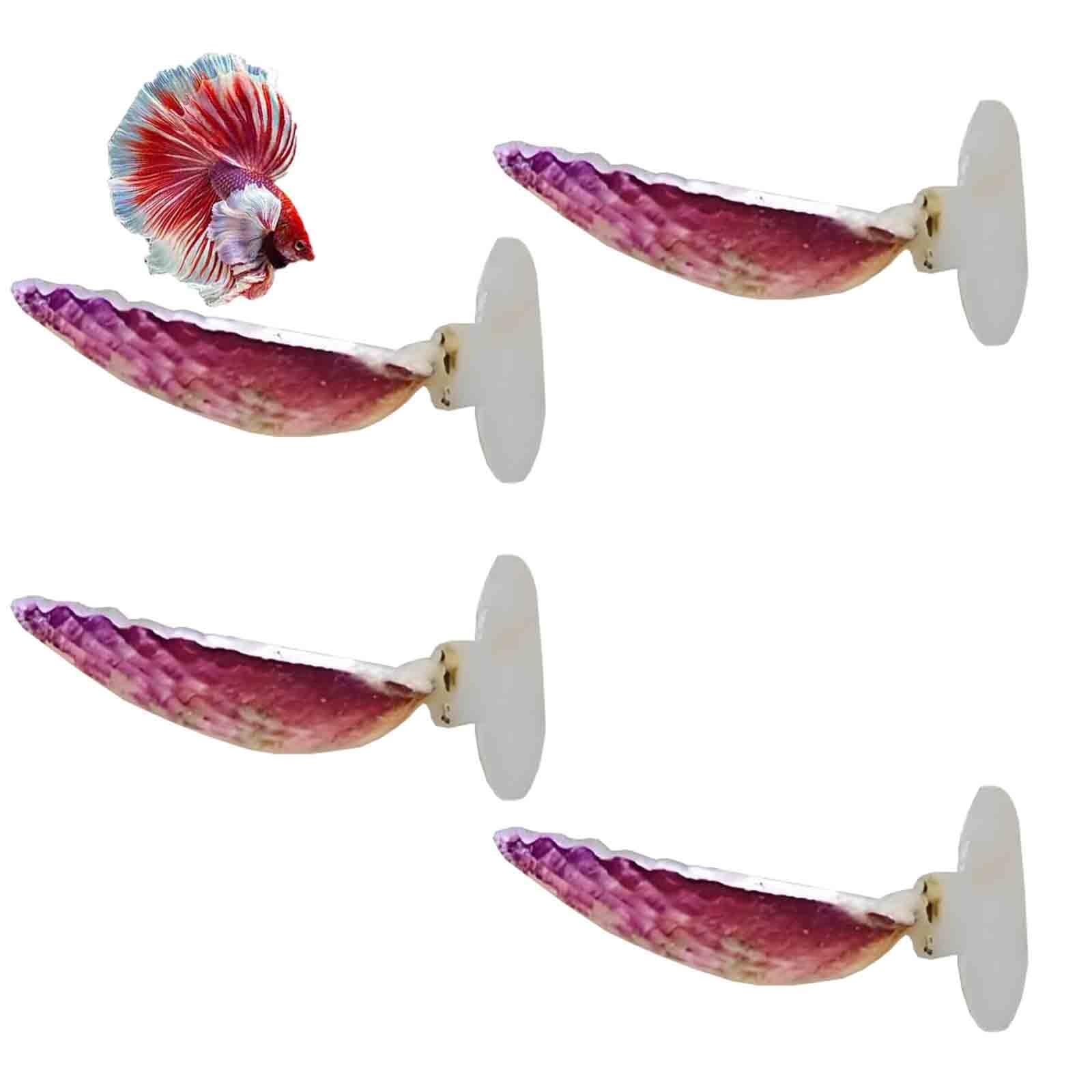 Hajhi One Color Natural Scallops Betta Fish Tank Decor Suction Cups Betta Hammock Comfortable Resting Area Betta Bed For Sleeping Hiding Playing(Scallops - 4 Pcs)