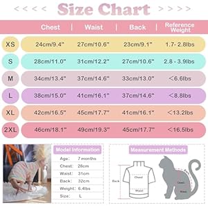 PUMYPOREITY-Sphynx-Cat-Clothes-Soft-Hairless-Cats-Shirt-with-Sleeves-Stretchy-Cat-Sweater-Pullover-Cat-Pajamas-Jumpsuit-Turtleneck-Cat-Outfit-for-Sphynx-Cornish-Rex-Devon-Rex-Rainbow-XL - Cucciolini Doodles   PUMYPOREITY-Sphynx-Cat-Clothes-Soft-Hairless-Cats-Shirt-with-Sleeves-Stretchy-Cat-Sweater-Pullover-Cat-Pajamas-Jumpsuit-Turtleneck-Cat-Outfit-for-Sphynx-Cornish-Rex-Devon-Rex-Rainbow-XL