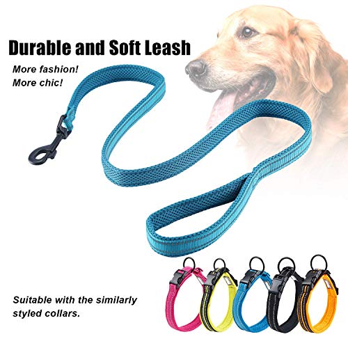 PETTOM Hundeleine Reflektierend Leine aus Nylon mit Weich Gepolsterter Griff und Metallhaken für Training, Robuste Leine Hund für Kleine Mittel Große Hunde (Blau 200 cm)