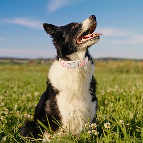 ARING PET Sommer Hundehalsband, Hundehalsband mit Bunten Blumen Bedruckt, Baumwolle Blume Halsband mit Quick Release Kunststoffschnalle für Jungen und Mädchen Hunde