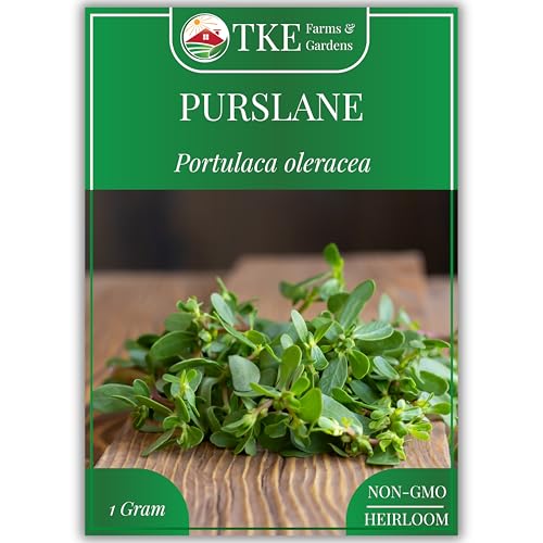 TKE Farms & Gardens Purslane Seeds for Planting - 1 Gram Packet 2000+ Non-GMO Heirloom Seeds High Germination Edible & Medicinal Heat & Drought-Tolerant Easy-to-Grow Ground Cover Qty 1