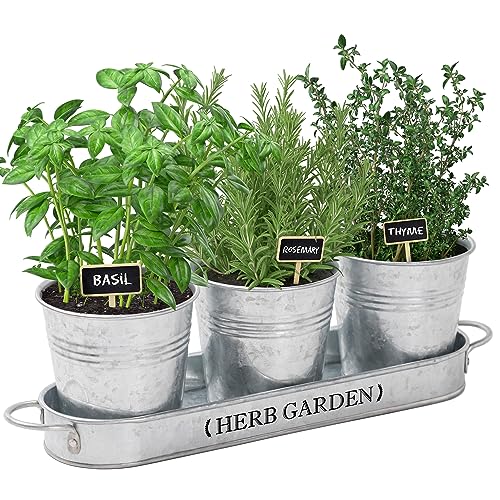 13. Indoor Herb Garden Kit