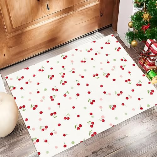 Tapis de sol lavable à l'eau pour entrée intérieure propre - 3