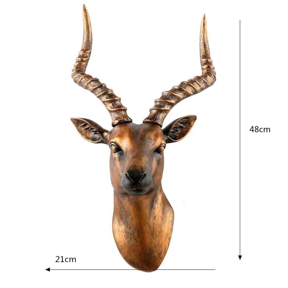 Tête D'antilope Großriedbock – Décoration Murale Trophée – H 35 Cm
