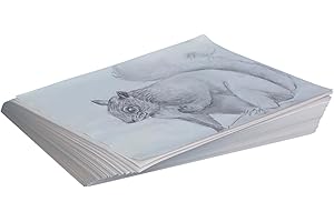 Sax Plain White Newsprint Newspaper - 18 x 24 Inches (Pack of 500)