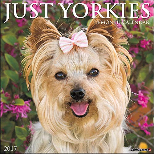 Just Yorkies 2017 Calendar