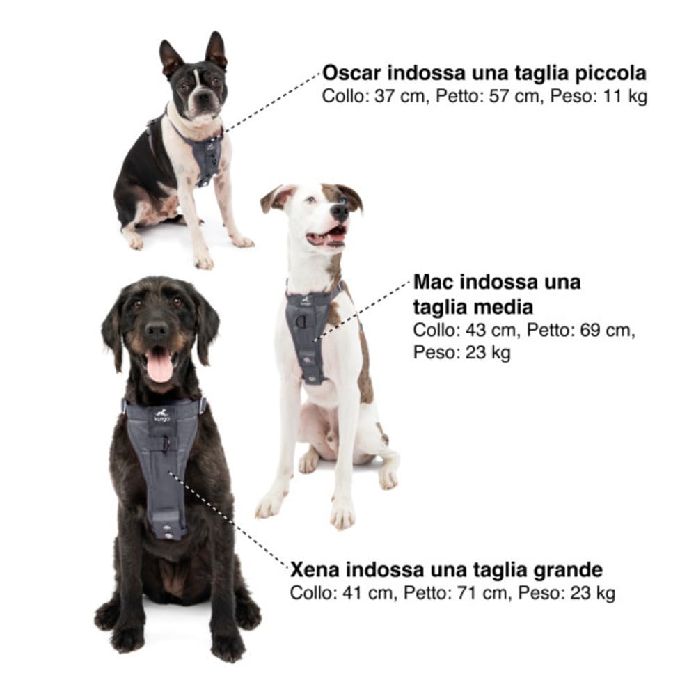 Kurgo Tru-Fit - Pettorina di Sicurezza per Auto per Cani con Regolazione a Cinque Punti e Fibbia di Sicurezza - Antracite - L