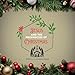 Jesus and the Prophecies of Christmas