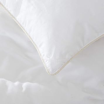 Luxurious Queen Size Goose Down Alternative Comforter, 100 Percent Egyptian Cotton, 750FP, 50Oz, Solid White Down Alt Comforter