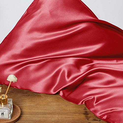 THXSILK 22 Momme Silk Pillow Case for Hair and Skin, Mulberry Silk Pillow Case, Hypoallergenic with Hidden Zipper - Image 3