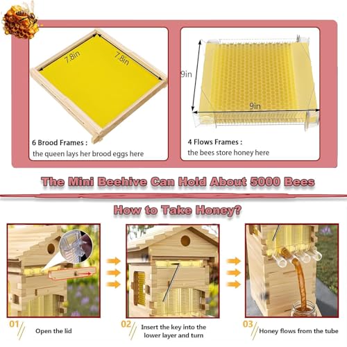 Kit d'apiculture complet de jardin pour observer les abeilles - 6