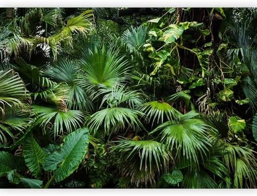 murando - Papier peint panoramique nature 350x256 cm - Revêtement...