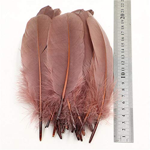 Worldoor 100pcs 6-8 Inches Natural Large White Goose Feathers for Arts and Crafts or Clothing (Brown)